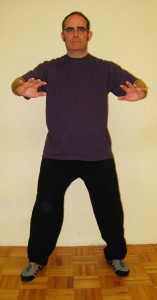 Zhan Zhuang posture 1
